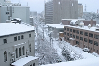 雪景色